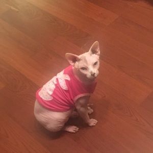 Meet your Posher, Marta